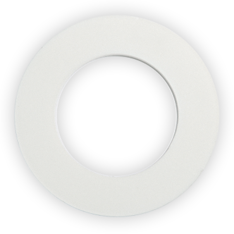 PTFE Gasket